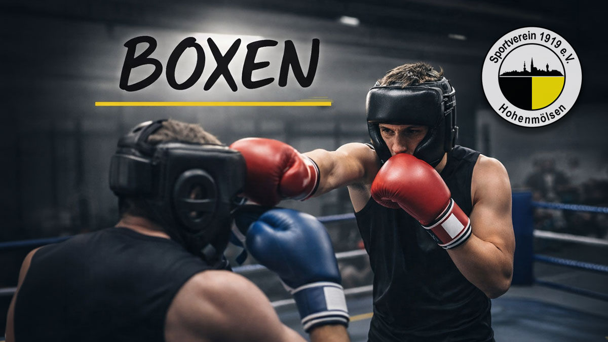 Boxabteilung SV Hohenm&ouml;lsen 1919